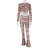 Women's Casual Micro-Transparent Sexy Slim Short Top & Long Pants Two Piece Set