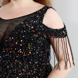 Spring and Summer Long Sequin Plus-Size Formal Party Evening Dress