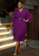 Ruffle Sleeve Formal & Cocktail Party Slim Waist Chiffon Dress