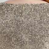 Spring and Summer Long Sequin Plus-Size Formal Party Evening Dress