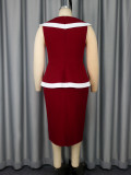 Turndown Collar Contrast Color Elegant Formal & Cocktail Party Dresses