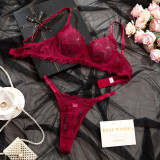 Women Summer Lace Breathable Sexy Lingerie Two Piece Set