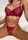 Women Summer Lace Breathable Sexy Lingerie Two Piece Set