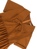 Plus Size Turned-Down Collar Lace-Up Bow Decoration A-Line Dress
