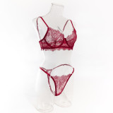 Women Summer Lace Breathable Sexy Lingerie Two Piece Set