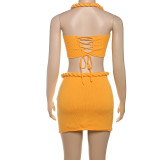 Women Spring Summer Sexy Halter Neck Lace Beaded Suspender Top and Skirt Two-Piece Set