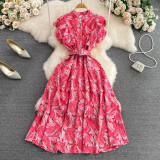 summer stand collar slim waist printed a-line high waist elegant chic long dress