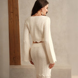 Women Solid Sexy Crop Knitting Top and Skirt Casual Holidays Two-piece Set