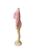 Women Spring and Summer Career Casual Turndown Collar Striped Long Sleeve Shirt Shorts Two-piece Set