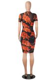 Women Printed Mesh Dress + Vest + Shorts Three-Piece
