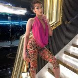 Women Solid Halter Neck Backless Top and Leopard Print Shorts Two-piece Set