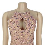 Women's Chic Sexy Sequined Split Fashionable Dress