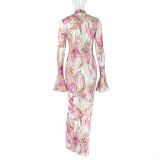 Women's Chic Print Stand Collar Long Sleeve Long Dress