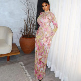 Women's Chic Print Stand Collar Long Sleeve Long Dress