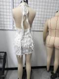 Women Summer Sexy Hot Halter Neck Lace V Neck Backless Bodycon Dress