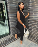 Women Casual Sleeveless Blazer and Pants Two Piece Set