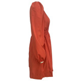 Women V Neck Pleated Long Sleeve Dress