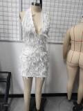 Women Summer Sexy Hot Halter Neck Lace V Neck Backless Bodycon Dress