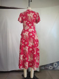 Women Spring and Summer Casual V-neck Printed Holidays Dress