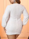 Women Round Neck Long Sleeve Dress