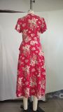 Women Spring and Summer Casual V-neck Printed Holidays Dress