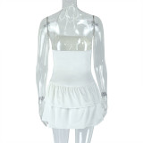 Elegant Sexy Low-Back Halter Neck Pleated A-Line Dress for Women