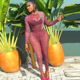 Sexy Slightly Transparent Leopard Print Round Neck Tight-Fitting Trendy Pants Set Elastic Two-Piece Set