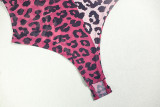 Sexy Slightly Transparent Leopard Print Round Neck Tight-Fitting Trendy Pants Set Elastic Two-Piece Set