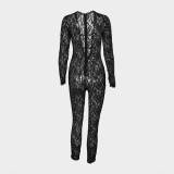 Fashion Lace Solid Color See-Through Slim Sexy Long-Sleeved Jumpsuit for Women