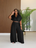 Women Casual Holidays Summer Turndown Collar Short Top & High-Waist Wide-Leg Pants Set