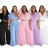 Women Casual Holidays Summer Turndown Collar Short Top & High-Waist Wide-Leg Pants Set