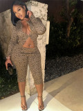 Elastic Leopard Print Slim Fit Sexy Long-Sleeved Top & Shorts Set