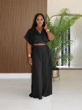 Women Casual Holidays Summer Turndown Collar Short Top & High-Waist Wide-Leg Pants Set