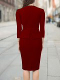 Career Dresses for Formal Occasions for Women in All Seasons  Chic Slim A-Line Fashion Dress