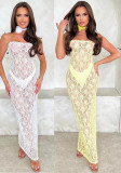 Summer Sexy Lace See-Through Strapless Dress for Women
