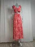 Women's Fashion Sexy V-Neck Printed Slit Long Dress