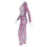 Sexy Slightly Transparent Leopard Print Round Neck Tight-Fitting Trendy Pants Set Elastic Two-Piece Set