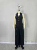 Women's Chic Elegant Solid Color V-Neck Sleeveless Vest & High-Waist Wide-Leg Trousers Set