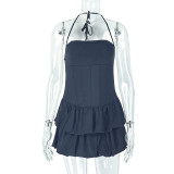 Elegant Sexy Low-Back Halter Neck Pleated A-Line Dress for Women