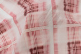 Women's Summer Mesh Plaid Print Irregular Low-Waist Skirt