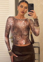 Women Summer Crop Lace Printed Top