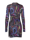 Women See-Through Printed Long Sleeve Dress