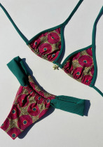 Sexy Printed Lace-Up Two-Piece Bikini Set