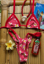 Sexy Floral Print Bikini Two-Piece Swimsuit Set for Women
