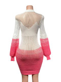 Women Autumn Hollow Knitting Style Beach Dress