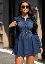 Slim Waist Long-Sleeve Denim Dress