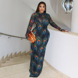 Stylish Women's Printed Sexy Sheer High Neck Long-Sleeve Slim Fit Long Dress