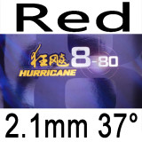 DHS hurricane 8-80