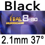 DHS hurricane 8-80