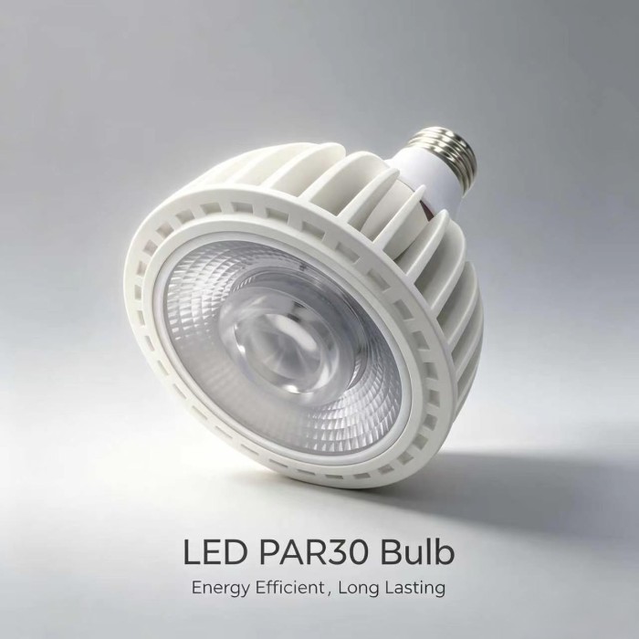 PAR30 LED Flood Light Bulb, 15W 150W Equivalent, 1500 Lumens, Dimmable, 3000K Warm White, Single COB Chip, E26 Base, Premium & Durable, for Outdoor Security & Recessed Lighting 2pack, by Rowrun